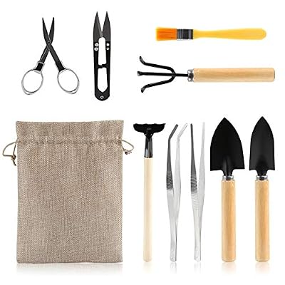 LIHAO 10 Piezas Mini Herramientas para Bonsái Kits de Herramientas de Jardinería Plantación de Cactus Suculentas Plantas Maceta | Ya disponible en tu tienda friki favorita! En mundofriki.es! LIHAO 10 Piezas Mini Herramientas para Bonsái Kits de Herramientas de Jardinería Plantación de Cactus Suculentas Plantas Maceta | Ya disponible en tu tienda friki favorita! En mundofriki.es!
