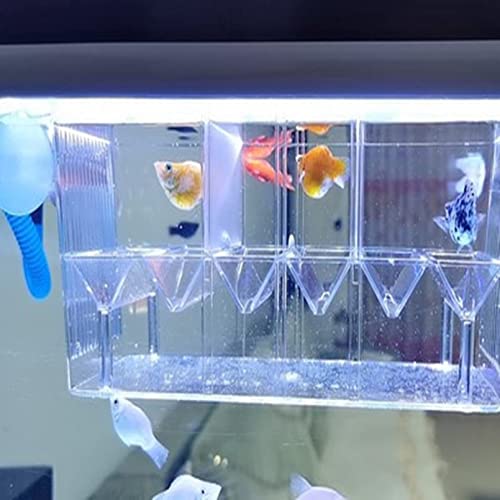 Pinvnby Fish Breeding Box Aquarium Acrylic Fish Isolation Breeder Box Acclimation Hatchery Incubator Box With Suction Cups For Baby Fishes Shrimp Clownfish Aggressive Fish And Guppy #TOP4