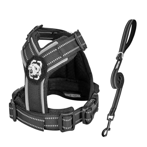 OneTigris Arnés Set para Perros Pequeños, ANTZ Arnes Táctico para Perros y Correa, Arnés para Perro con Asa para Mini Perro Pequeño, Perro Mediano como Chihuahua, Yorkshire, Negro, XXXS