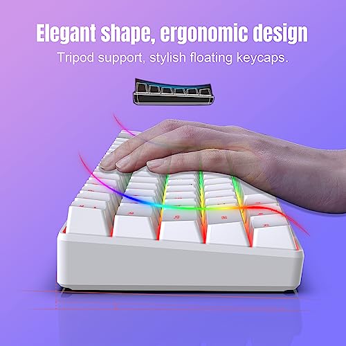 Teclado Membrana Mini 68-Key RGB USB-C miniatura 2