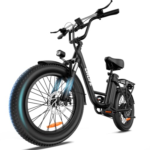 URLIFE 20 inch Fat Tire