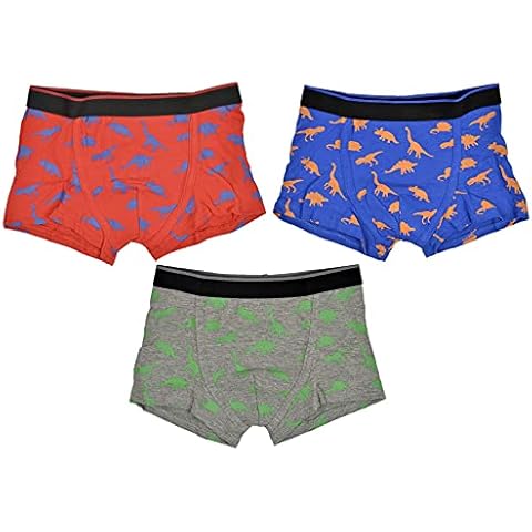 Thingimijigs Dinosaur Pattern Boxer Shorts for Boys Cover