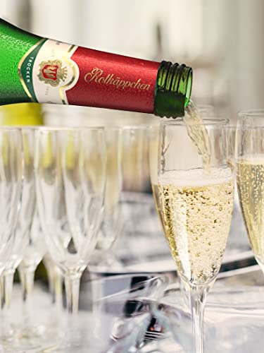 Rotkäppchen Sekt trocken - prickelnder Klassiker im praktischen Kleinformat (24x 0,2l)