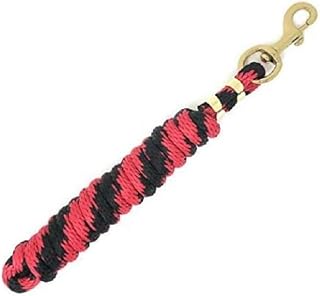 Lead Ropes For Horses l 10 Foot Strong Poly l Soft, Broken In Feel l Handmade In The USA l Heavy Duty Brass Snap l Lots Of Vibrant Colors l Compatible With The Safe Clip by Smart Tie Products