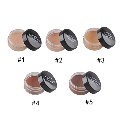Buy Professional 5 Color Concealer Face/Eye Perfect Concealer Natural Waterproof Smooth Brighten