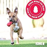 KONG Extreme Goodie Ribbon - Befüllbares Hundespielzeug aus Naturkautschuk - Für Mittelgroße Hunde
