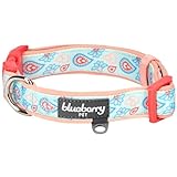 Blueberry Pet 5 Patterns Soft & Comfy Easter Spring Paisley Flower Print Neoprene Padded Dog Collar, Pastel Blue, Large, Neck 18
