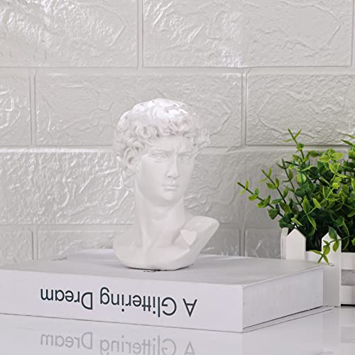 David Statue And Sculpture Fine Art Bust Greek Statue Decor, Resin Statue Of David Used For Sketch Practice Aesthetics Statues And Sculptures And Indoor Filling Space For Living Room,Bedroom And Study #TOP4