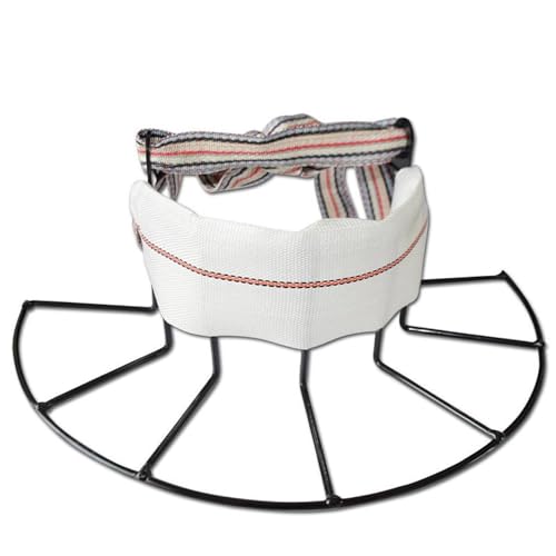 Outils pour la gestion en élevage de 23cm de long pour le bétail