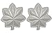 U.S. Army Metal Pin On Officer Rank NON-SUBDUED (SHINY) - 1 PAIR (O5 - LT Colonel)