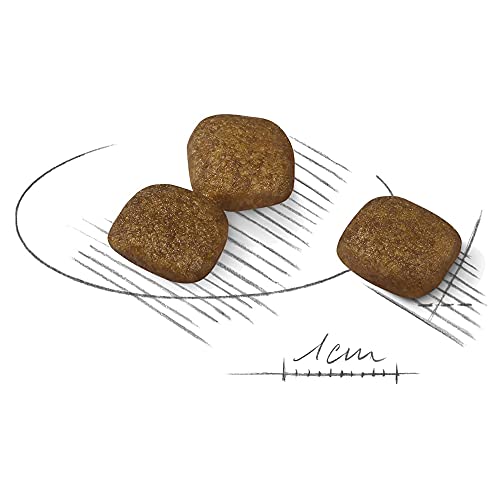 ROYAL CANIN CCN Mini Coat Care Adult - Dry Dog Food - 3kg