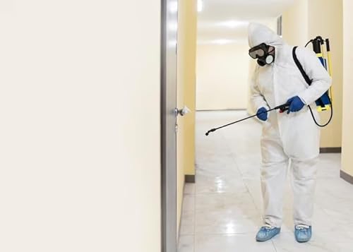 Why Should I Use Professional Mold Removal Services? Podcast Por  arte de portada