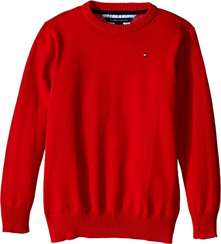 Tommy Hilfiger Big Boys' Long Sleeve Alan Crew Neck Sweater, Bulls Eye, Medium