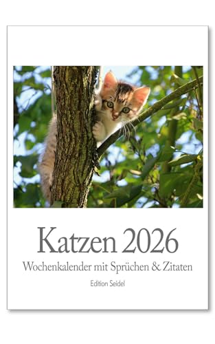 Edition Seidel Premium Kalender Katzen Wochenkalender 2026 Format...