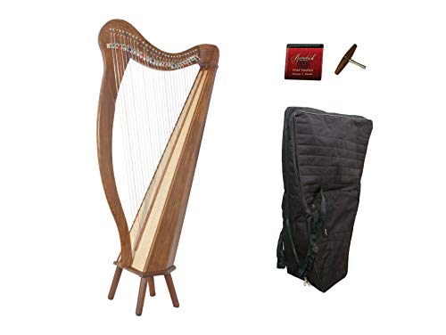 Roosebeck 29-String Mintrel Pedestal Harp w/Chelby Levers & Bag, 5 Panel