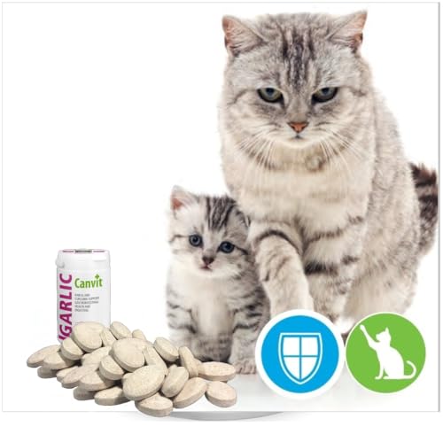 Canvit Knoblauchtabletten für Hunde & Katzen | Nahrungsergänzungsmittel Hunde mit Curcuma Unterstützung | Immununterstützung für Hund | Vitiman B12 Magen-Darm-Gesundheit und Verdauungsunterstützung |