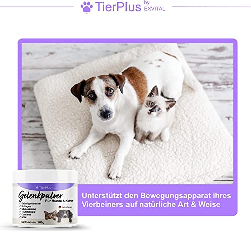 TierPlus Gelenkpulver für Hunde & Katzen, mit Grünlippmuschel, MSM, Kollagen, Glucosamin, Teufelskralle, Curcuma. Mehr Bewegungsfreude, Hohe Fressakzeptanz, 200g Pulver, hochdosiert & Made in Germany