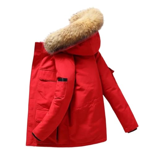 Y  _EWPbg n t@[ t[ht g p[J[ AEghA zf[ AE^[EFA