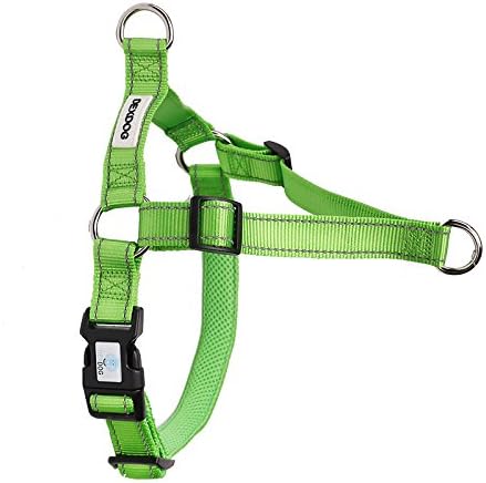 front attachment harness