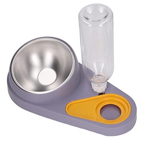 Asixxsix Doppie Ciotole per Cani e Gatti, Set di Ciotole per Acqua e Cibo per Animali Domestici inclinabili a 16° con Bottiglia Automatica per l'erogazione dell'Acqua e Ciotola in Acciaio i (Viola)