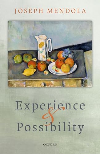 Experience and Possibility view 2