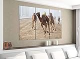 Leinwandbild 3tlg 120cmx100cm Sport Tier Kamel Kamele Dromedar Rennen Reiten Bilder Druck auf Leinwand Bild Kunstdruck mehrteilig Holz 9YA3461, 3 Tlg 120x100cm:3 Tlg 120x100cm