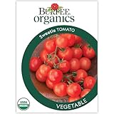 Burpee 'Sweetie' Organic Heirloom Tomato Seeds - Non-GMO, Indeterminate, Organic, Heirloom, Cherry Tomato, 15mg Seed Packet for Home Gardening