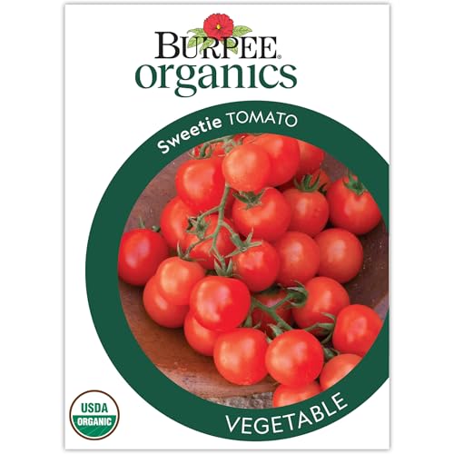 Burpee 'Sweetie' Organic Heirloom Tomato Seeds - Non-GMO, Indeterminate, Organic, Heirloom, Cherry Tomato, 15mg Seed Packet for Home Gardening