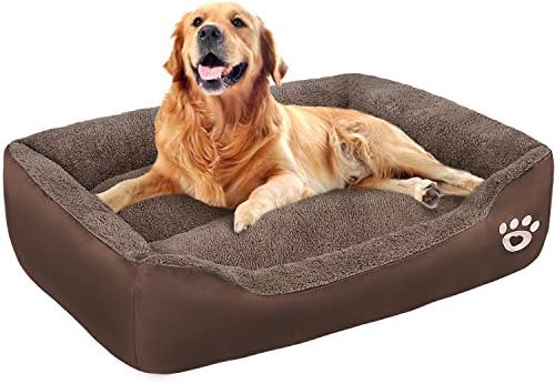 large pet couch