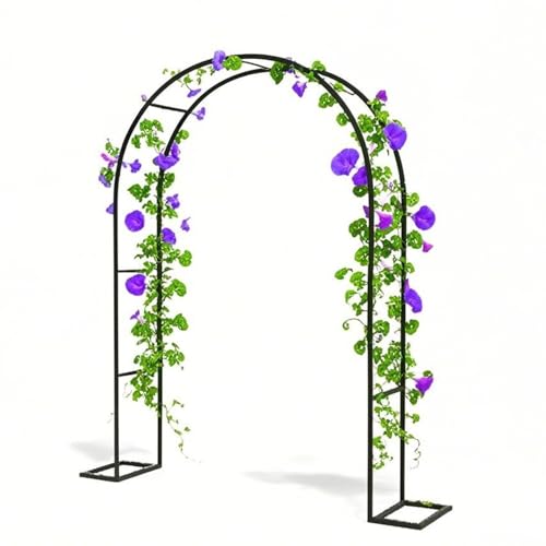 Arche de jardin en métal pour tuteurer vos plantes et éviter l'affaissement