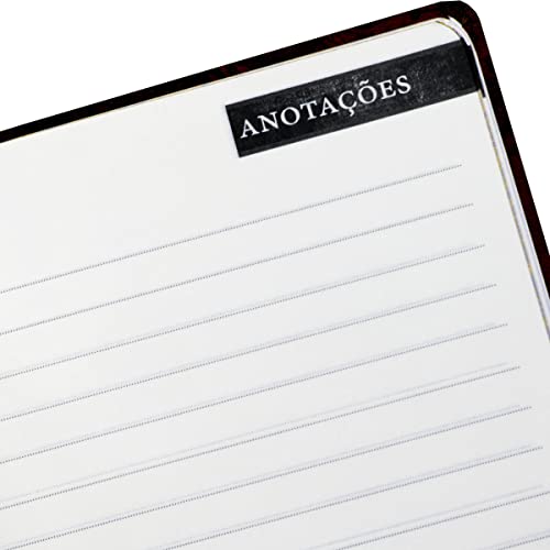 Bíblia NVI de estudo da Mulher Plena - Céu de primavera: Ser mulher é um privilégio e conhecer a Pal