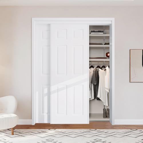 60x80 in Steel Frame Bypass Door