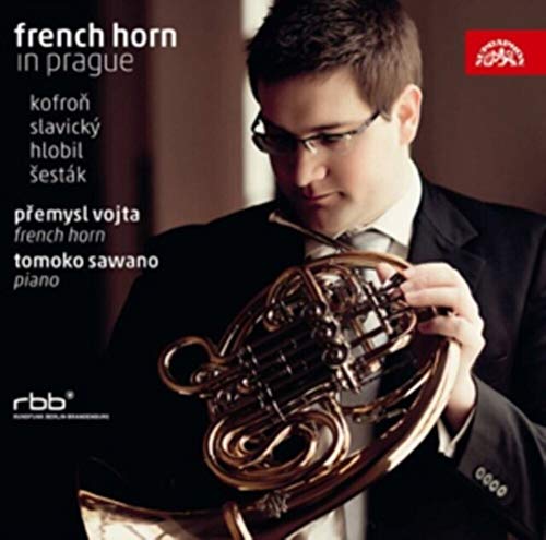 French Horn In Prague
