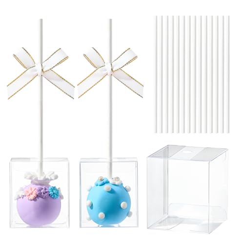 JCXGRVC 25 Pack Cake Pop Boxes with Sticks 1.75x1.75x2 Clear Plastic Containers Food Safe & Pre Cut Holes Perfect for Bakeries Parties & Events