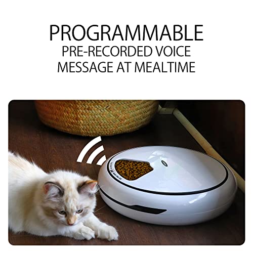 Lentek 5 Meal Automatic Pet Feeder With Voice Message, White, Wet And Dry Food Dispenser For Cat Or Dog, 5 Oz Compartments For Portion Control, 25 Oz Total Capacity #TOP3