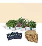 Spicy Mix-Ins Microgreen Refill