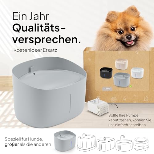 Pretty Paw Trinkbrunnen für Hunde mit 7L Wassertank - Super leiser Hunde Trinkbrunnen - BPA-freier Hundebrunnen mit Filter & LED - Leicht zu reinigender Dog Wasserspender
