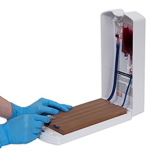 Advanced Four-Vein Venipuncture Training Aid - Dermalike II Latex Free