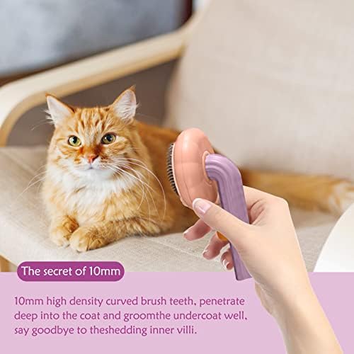 Pet Pumpkin Brush Self Cleaning Slicker Brush for Dogs Cats Puppy Rabbit Pet Grooming Brush Tool Gently Removes Loose Undercoat Dog Grooming Brush for Short & Long Haired (Purple)