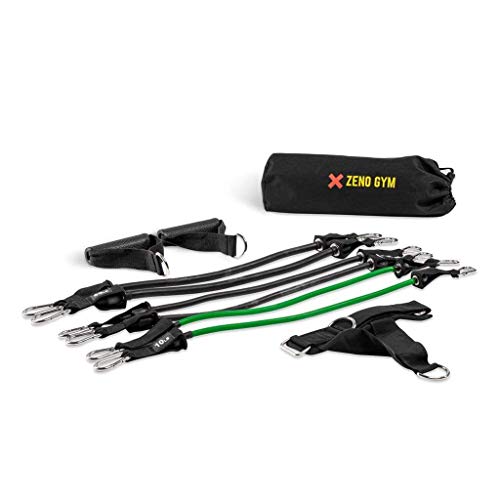 Zeno Gym Workout Bench One | Bench Press | Glute Raises | in-Home Work Out | Made with High-Density Foam | Anti-Slip | 50+ Exercises | Durable and Portable