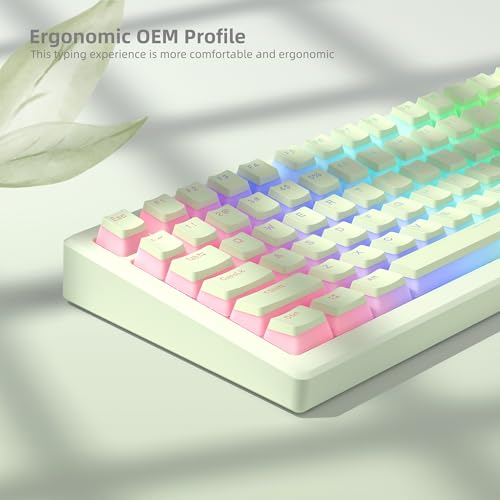 Image of Womier Shine Through PBT Keycaps, Green Pudding Key caps | OEM Profile Double Shot Custom Keyboard Keycaps 130-key Set for 60% 65% 75% 100% Cherry MX Mechanical Keyboard-Matcha Green