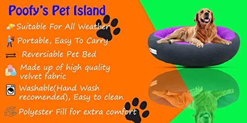 Image of Premium XXL Size Dog Bed for Large Dogs and Puppies Anti Skid Bottom Washable Orthopedic Big Dog /cat Beds Purple /Black