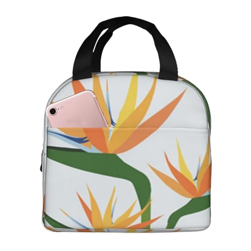 fM`obOAeʁAhAMRh~AX^CbVŏvAdAwZAAEghAɕ֗Ajp (JtȔɊỷԁA΂̉Ԃ̒뉀AR)