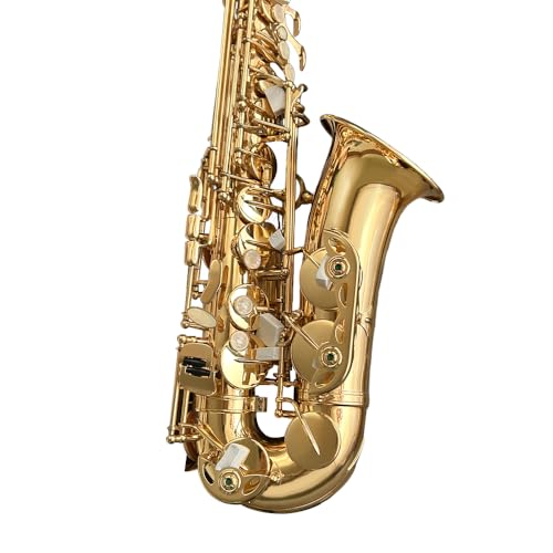 Image of Beginner Alto Saxophone, Eb Golden Lacquer- Complete Starter Kit with Case & 10 Reeds, for Adults & Students, Easy to Play for School Band & Practice