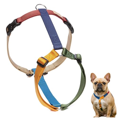 Haqihana Pettorina Cane Taglia S Multicolor – Pettorina Regolabile No Pull in Nylon Morbido, Made in Italy, per Cani di Piccola Taglia – Confortevole e Resistente