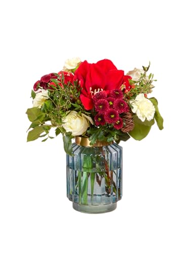 Blumenstrauß Festtagsfreude in Rot, mit Amaryllis, Nelken und Rosen, 7-Tage-Frischegarantie, Floristen-Qualität, das perfekte Geschenk bestellen