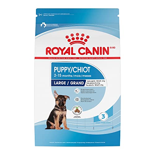 Royal Canin Size Health Nutrition Large Puppy Dry Dog Food, ...