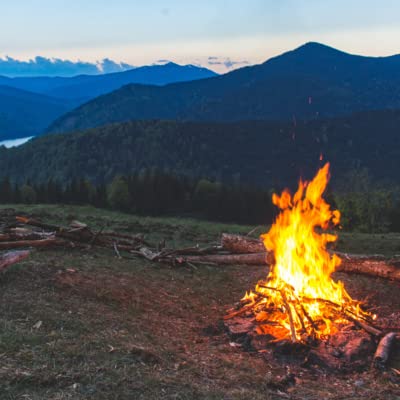 Forest Birds Chirping with Campfire Sound for Sleep