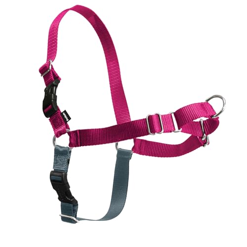 PetSafe Easy Walk, Pettorina per Cani, Pettorina Anti-tiro per Cani, per l'Addestramento con Guinzaglio e Pettorina, Impedisce al Cane di Tirare e Strozzarsi, Rosa, L, Grande