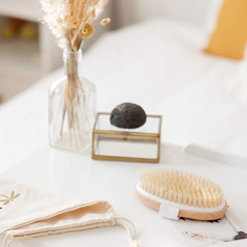 Image of Dry Brushing Body Brush - Medium Soft Dry Brush for Cellulite and Lymphatic. For Beginners & Advanced Users. Exfoliating Skin Brush and Free Konjac Sponge, for a Softer, Glowing Skin